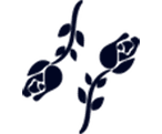 بلک روز
