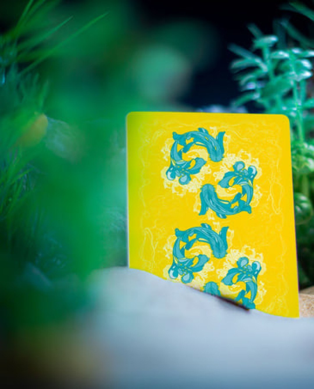 دسته کارت Jocu ONDA V2 Tropical Yellow
